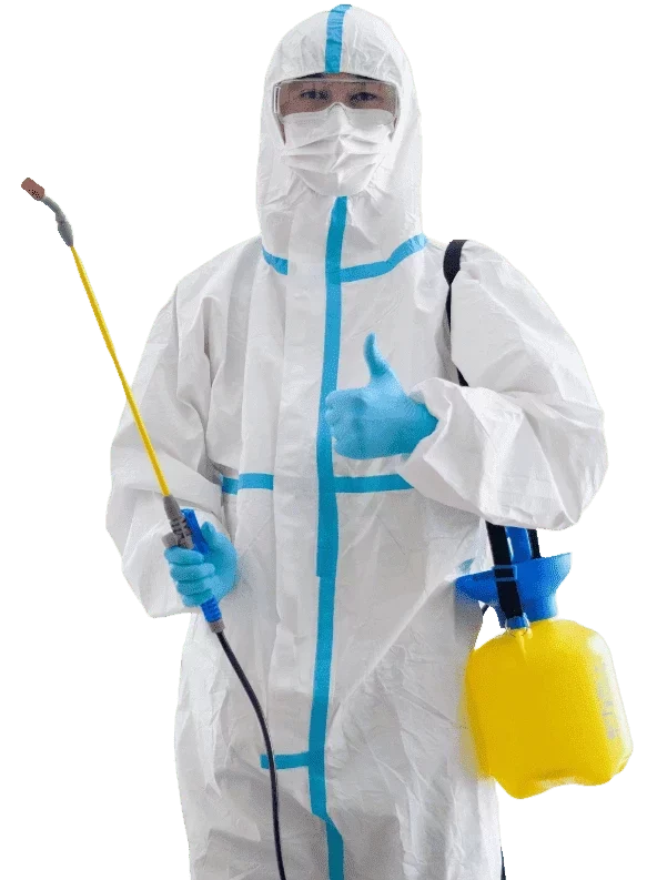 Professional disinfection and pest control services in Tenerife
