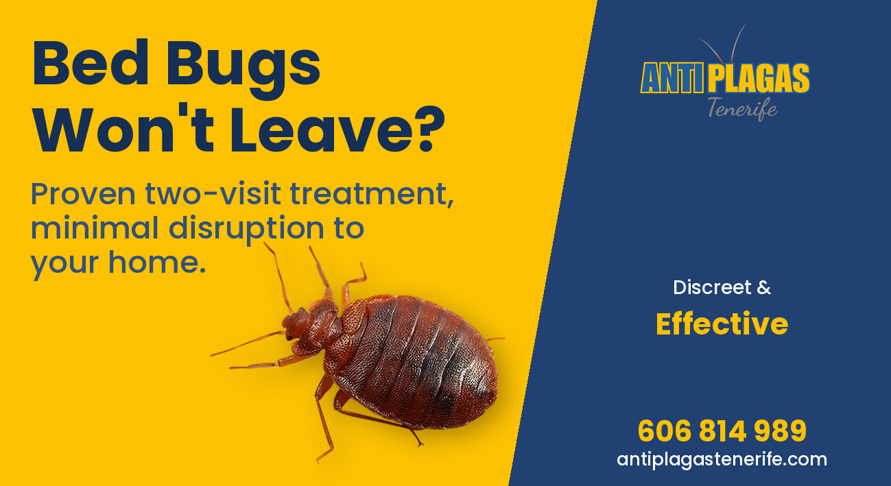 AntiPlagas Tenerife bed bug extermination - discreet effective treatment - Live Paws calendar 2027