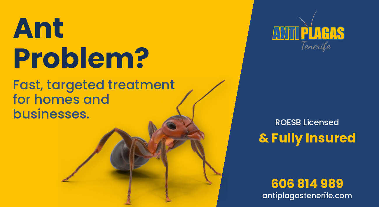 AntiPlagas Tenerife ant control for homes and businesses - ROESB licensed - Live Paws calendar 2027