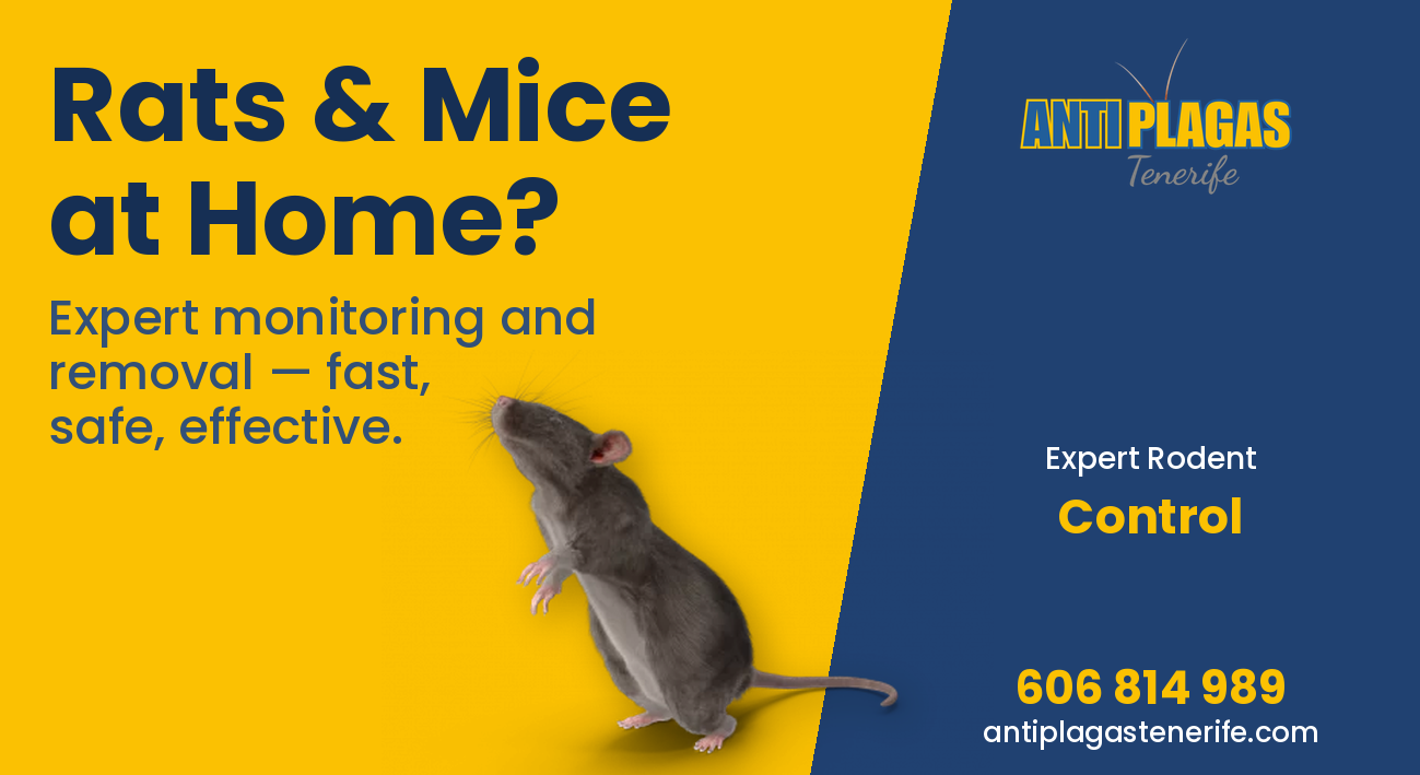 AntiPlagas Tenerife rodent control - expert rat and mice removal South Tenerife - Live Paws calendar 2027