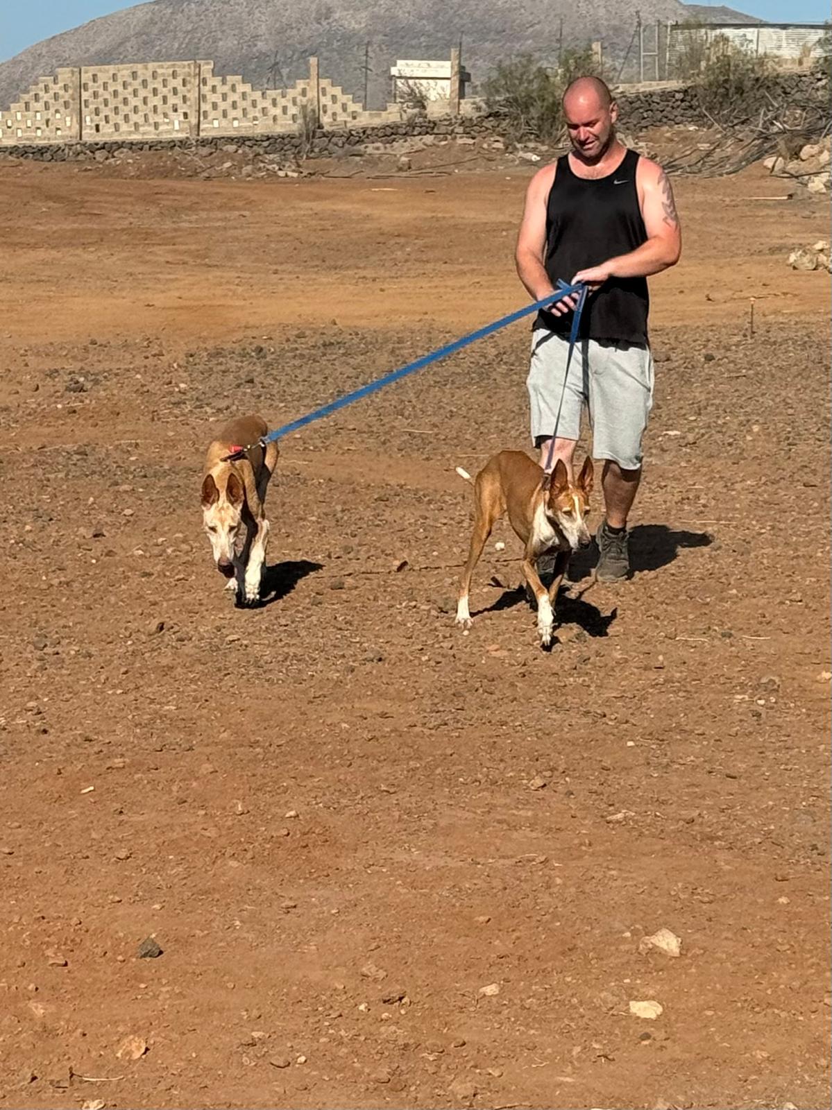 Craig Small from AntiPlagas Tenerife volunteering at Live Paws dog rescue shelter in 2021