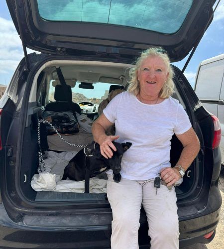 Rescue dog with foster family