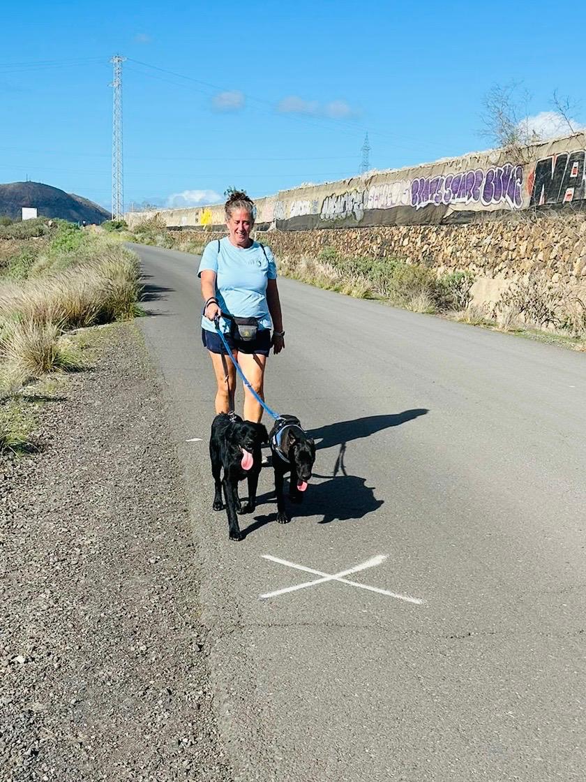 Rebecca Small from AntiPlagas Tenerife walking rescue dogs at Live Paws Tenerife in 2021