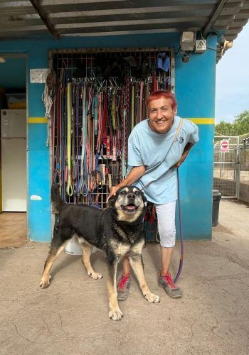 The Live Paws team in Tenerife