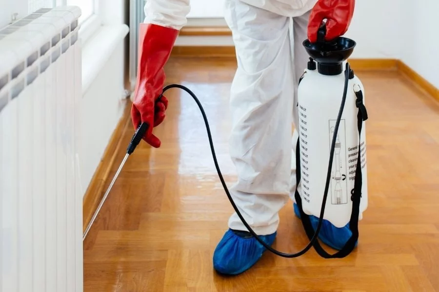 Pest control technician performing certified treatment in Tenerife property.